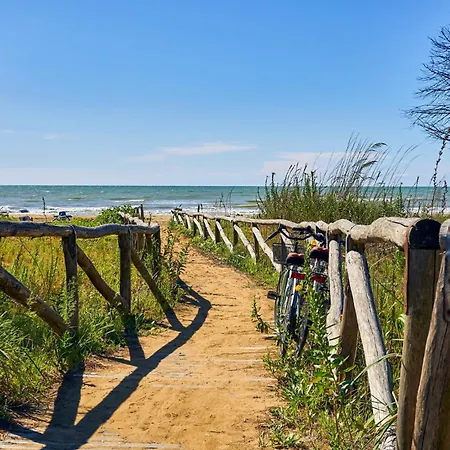 In 24415 Bibione